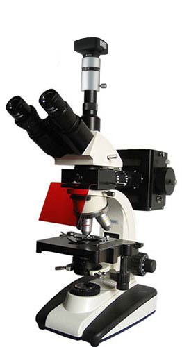 上光彼爱姆电脑落射荧光显微镜BM-20AYD