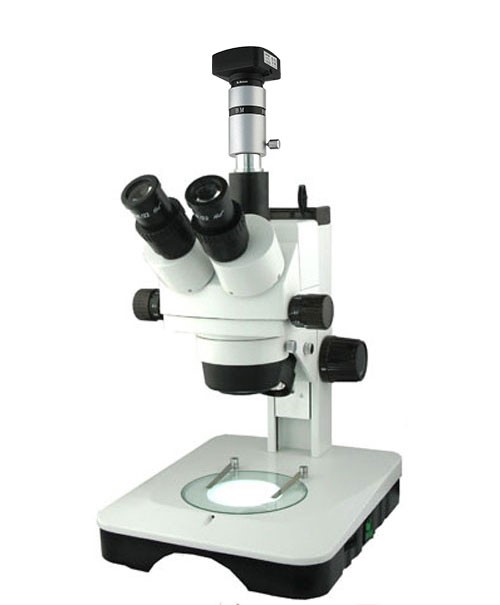 上光彼爱姆电脑连续变倍体视显微镜XTZ-ED（7～45倍）