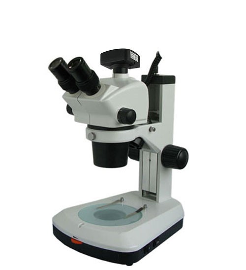 上光彼爱姆电脑连续变倍体视显微镜XTL-BM-8TD